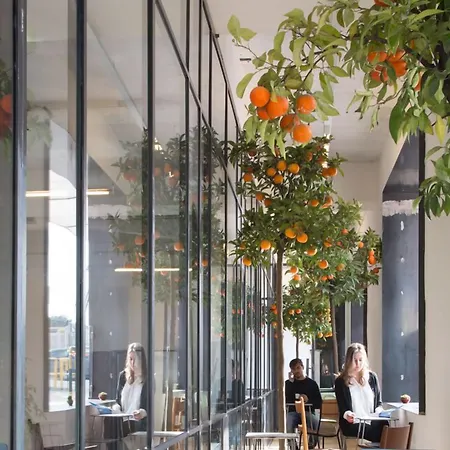 ベッド ＆ ボーディング 3*